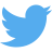 Twitter Logo